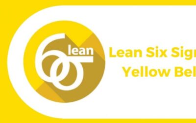 Lean Six Sigma Yellow Belt Training Course at GreyCampus