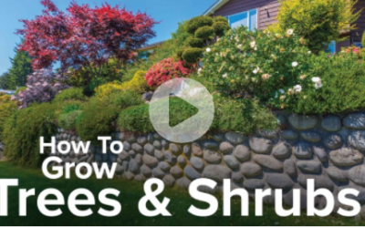 How to Grow Anything: Make Your Trees and Shrubs Thrive at The Great Courses