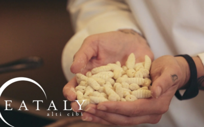 Make Fresh Pasta the Real Italian Way | Learn with Eataly at Skillshare