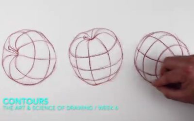 Basic Skills / Getting Started with Drawing at Skillshare