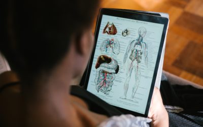 Anatomy: Cardiovascular, Respiratory, and Urinary Systems by University of Michigan at FutureLearn